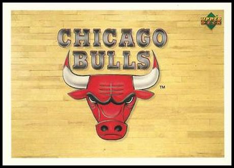 134 Chicago Bulls Logo